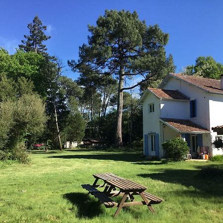 Gites-Cyclistes-Léon Exterior foto